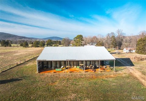 Tiny photo for 250 Wayne 324, Patterson, MO 63956 (MLS # 26025029)