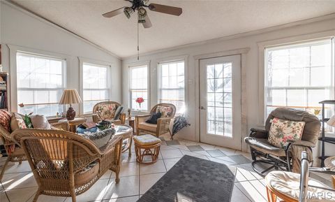 Tiny photo for 250 Wayne 324, Patterson, MO 63956 (MLS # 26025029)