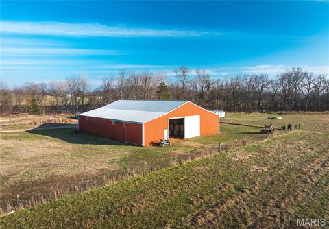 Tiny photo for 250 Wayne 324, Patterson, MO 63956 (MLS # 26025029)