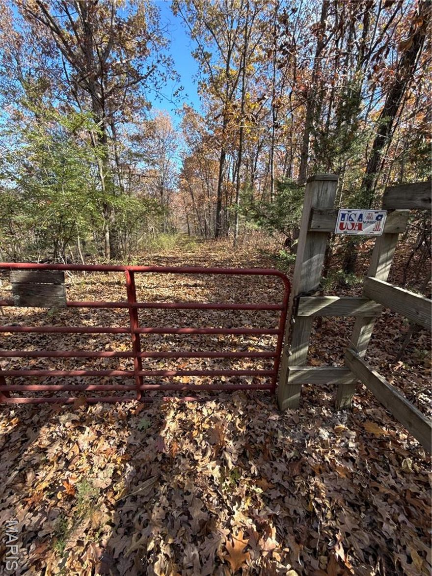 16.82 secluded, peaceful and beautiful acres in St Francois County. There is a cabin on site but is in need of repair or to use as a teardown and build your own! Also, an outbuilding. Imagine walking out and fishing in the pond or taking in the clean air of the 'country' while you sip your morning coffee! With some time and love, this place would be MAGNIFICENT, again. A place to take the family for a weekend or just a place to go and pause and breathe for an oasis! This wooded and tranquil property is ready for you! There is electric to the current cabin, on site. Must have appointment to show, private road.