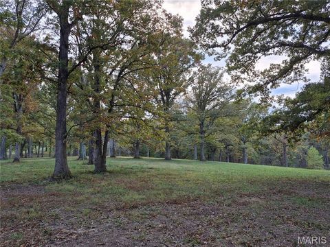 Tiny photo for 0 Highway D - Tract 5 (26+/- Acres), Eolia, MO 63344 (MLS # 25080681)