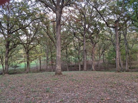 Tiny photo for 0 Highway D - Tract 5 (26+/- Acres), Eolia, MO 63344 (MLS # 25080681)