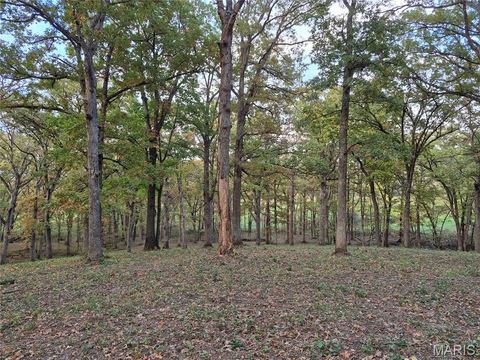Tiny photo for 0 Highway D - Tract 5 (26+/- Acres), Eolia, MO 63344 (MLS # 25080681)