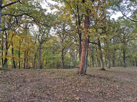Tiny photo for 0 Highway D - Tract 5 (26+/- Acres), Eolia, MO 63344 (MLS # 25080681)