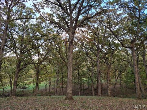 Tiny photo for 0 Highway D - Tract 5 (26+/- Acres), Eolia, MO 63344 (MLS # 25080681)