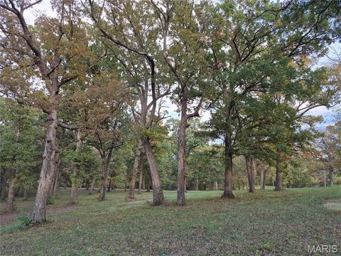 Tiny photo for 0 Highway D - Tract 5 (26+/- Acres), Eolia, MO 63344 (MLS # 25080681)