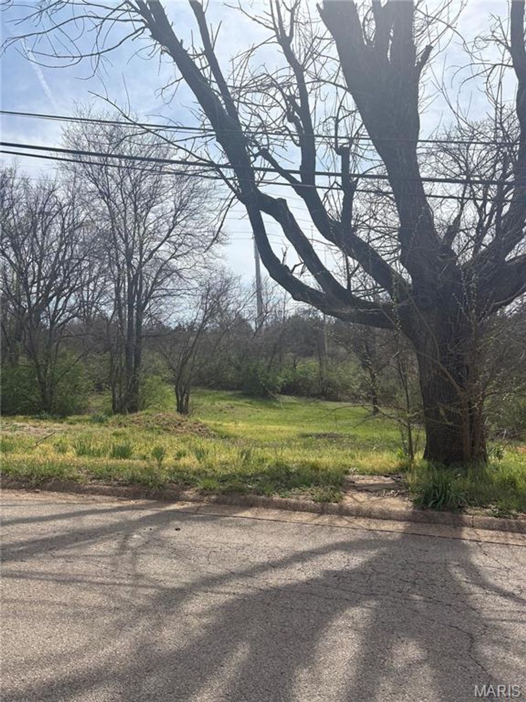 Photo of 303 Congress Street, Park Hills, MO 63601 (MLS # 26019422)