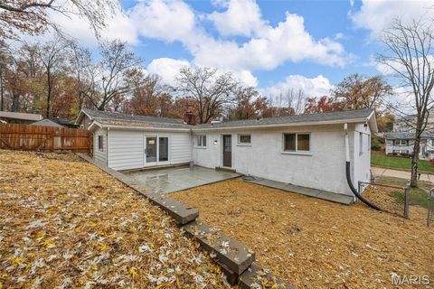 Tiny photo for 540 Hickory Hollow Lane, Kirkwood, MO 63122 (MLS # 25076406)