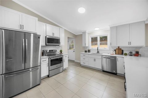 Tiny photo for 540 Hickory Hollow Lane, Kirkwood, MO 63122 (MLS # 25076406)