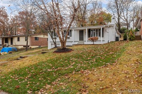 540 Hickory Hollow Lane Kirkwood MO 63122