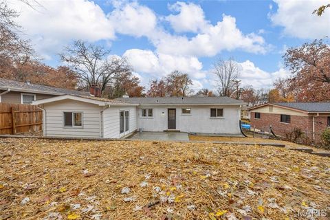 Tiny photo for 540 Hickory Hollow Lane, Kirkwood, MO 63122 (MLS # 25076406)