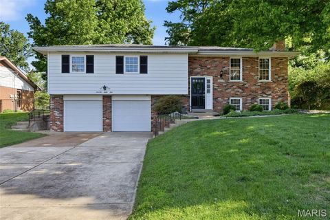 Tiny photo for 7061 Aliceton Avenue, Affton, MO 63123 (MLS # 26028299)