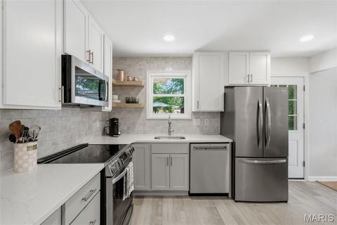 Tiny photo for 7061 Aliceton Avenue, Affton, MO 63123 (MLS # 26028299)