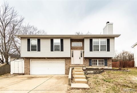 1001 Parc Central Drive Festus MO 63028