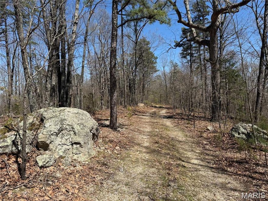 BELL MOUNTAIN 80 - Surrounded by thousands of acres of Mark Twain National Forest, and just over a mile from The North Trailhead to the Bell Mountain Loop portion of the Ozark Trail. This remote tract of relatively undisturbed wilderness features a natural landscape of hardwood and pine forest with seasonal creeks and unique rock formations. This tract is a blank canvas with lots of potential to develop into a off grid retreat right in the heart of all the area has to offer with Council Bluff Lake, Elephant Rocks, Johnson Shut-Ins, Black River and many other local attractions near by. Whether your looking for a private hunting camp, peace and quite in the forest or a low maintenance timber land investment, this one is worth a look!