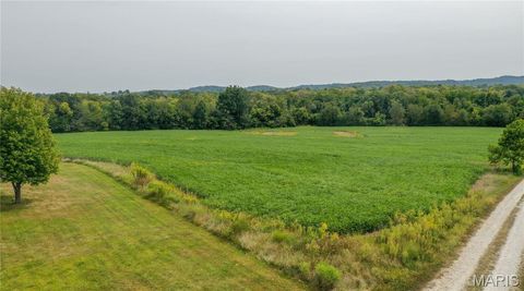 Tiny photo for 1677 Highway B, Elsberry, MO 63343 (MLS # 24058901)