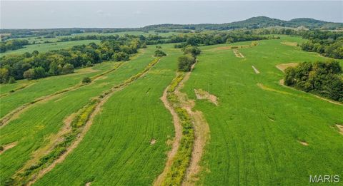 Tiny photo for 1677 Highway B, Elsberry, MO 63343 (MLS # 24058901)