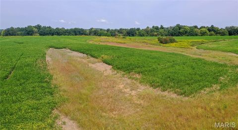Tiny photo for 1677 Highway B, Elsberry, MO 63343 (MLS # 24058901)