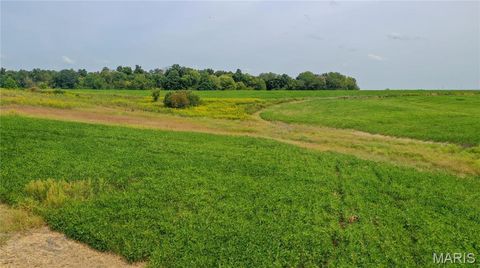 Tiny photo for 1677 Highway B, Elsberry, MO 63343 (MLS # 24058901)