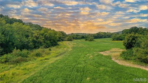 Tiny photo for 1677 Highway B, Elsberry, MO 63343 (MLS # 24058901)