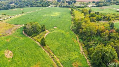 Tiny photo for 1677 Highway B, Elsberry, MO 63343 (MLS # 24058901)