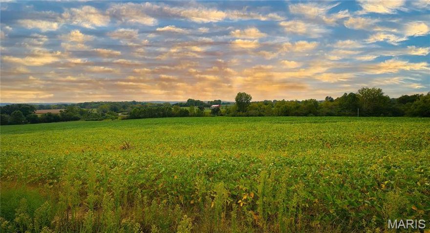 Expansive 163 +/- acre farm set in the rolling knobs of Elsberry. Highway B, road frontage gains easy access for equipment tending to high yielding acres of row crop this parcel offers. Consisting of 110 acres tillable, 43 acres dense timber, and 10 acres of waterways and terraces, this consciously maintained property is well suited for both farming and hunting. This ridgetop farm has panoramic views of the picturesque countryside and ample wildlife including whitetail deer and turkey. Tracts with tillable acreage as well laid out as this property are few and far in between. Truly an easy commute anywhere from the metropolitan area.