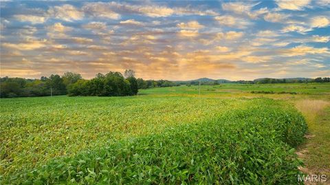 Tiny photo for 1677 Highway B, Elsberry, MO 63343 (MLS # 24058901)