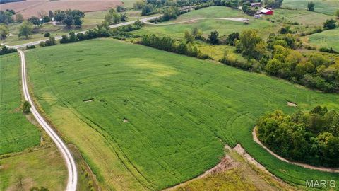 Tiny photo for 1677 Highway B, Elsberry, MO 63343 (MLS # 24058901)