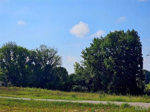 Photo of 210 Hawkins Ridge Court, Troy, MO 63379 (MLS # 25052688)