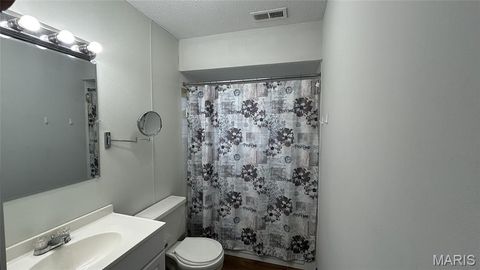 Tiny photo for 510 N 2nd Street, Elsberry, MO 63343 (MLS # 25067624)