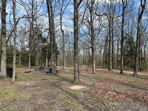Tiny photo for 24755 MAYAPPLE Lane, Lebanon, MO 65536 (MLS # 26024142)