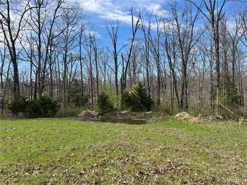 Tiny photo for 24755 MAYAPPLE Lane, Lebanon, MO 65536 (MLS # 26024142)