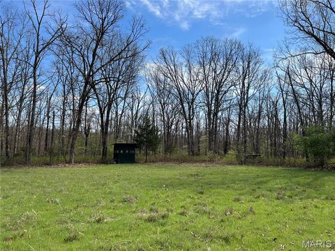Tiny photo for 24755 MAYAPPLE Lane, Lebanon, MO 65536 (MLS # 26024142)