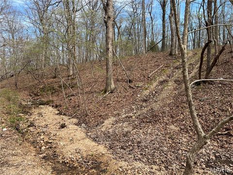 Tiny photo for 24755 MAYAPPLE Lane, Lebanon, MO 65536 (MLS # 26024142)