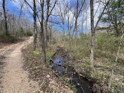 Tiny photo for 24755 MAYAPPLE Lane, Lebanon, MO 65536 (MLS # 26024142)