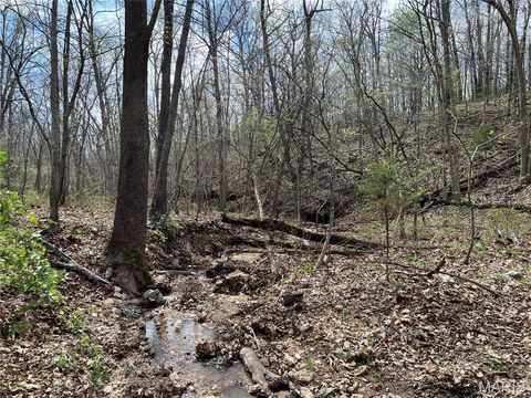 Tiny photo for 24755 MAYAPPLE Lane, Lebanon, MO 65536 (MLS # 26024142)