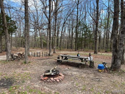 Tiny photo for 24755 MAYAPPLE Lane, Lebanon, MO 65536 (MLS # 26024142)