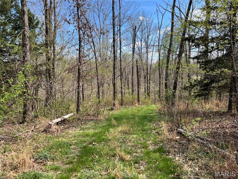 Tiny photo for 24755 MAYAPPLE Lane, Lebanon, MO 65536 (MLS # 26024142)