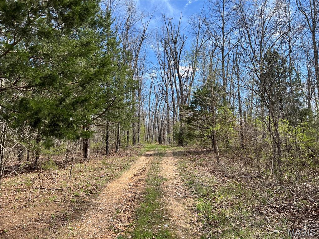 Bent Tree Estate - Farm