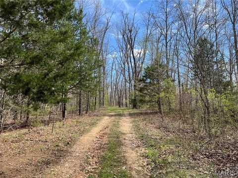 Tiny photo for 24755 MAYAPPLE Lane, Lebanon, MO 65536 (MLS # 26024142)