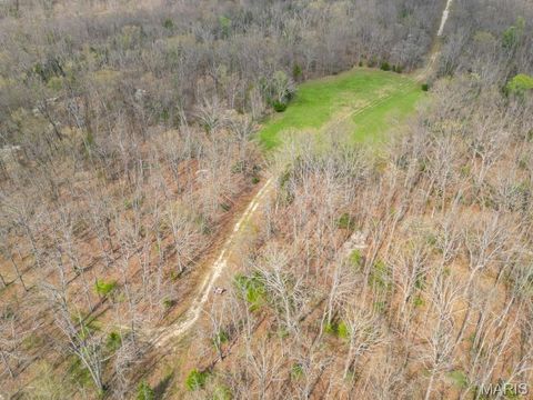 Tiny photo for 24755 MAYAPPLE Lane, Lebanon, MO 65536 (MLS # 26024142)