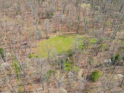 Tiny photo for 24755 MAYAPPLE Lane, Lebanon, MO 65536 (MLS # 26024142)