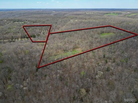 Tiny photo for 24755 MAYAPPLE Lane, Lebanon, MO 65536 (MLS # 26024142)