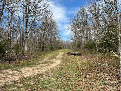Tiny photo for 24755 MAYAPPLE Lane, Lebanon, MO 65536 (MLS # 26024142)