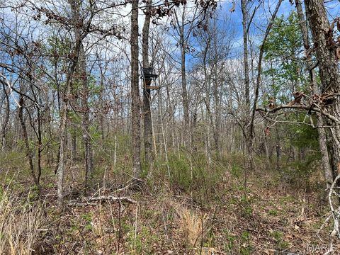 Tiny photo for 24755 MAYAPPLE Lane, Lebanon, MO 65536 (MLS # 26024142)