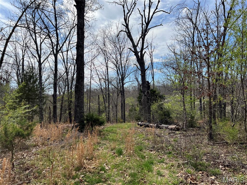Bent Tree Estate - Farm