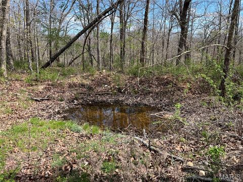 Tiny photo for 24755 MAYAPPLE Lane, Lebanon, MO 65536 (MLS # 26024142)
