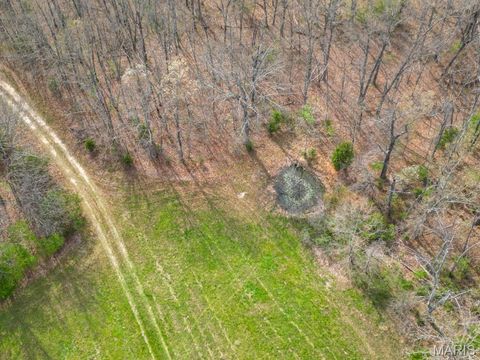 Tiny photo for 24755 MAYAPPLE Lane, Lebanon, MO 65536 (MLS # 26024142)