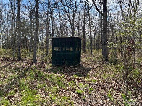 Tiny photo for 24755 MAYAPPLE Lane, Lebanon, MO 65536 (MLS # 26024142)