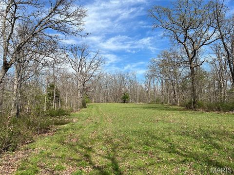 Photo of 24755 MAYAPPLE Lane, Lebanon, MO 65536 (MLS # 26024142)